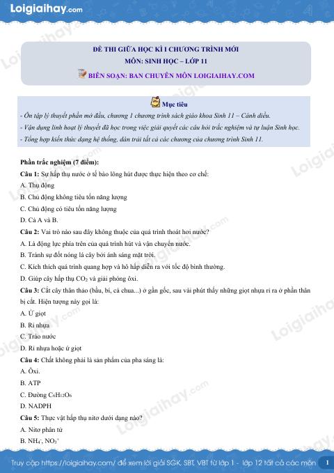 Đề thi giữa kì 1 Sinh 11 Cánh diều - Đề số 3